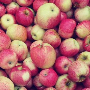 Variety-Honeycrisp